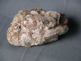 中文名:偉晶岩(NMNS002992-P006007)英文名:Pegmatite(NMNS002992-P006007)