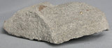 中文名:玄武岩(NMNS002992-P005967)英文名:Basalt(NMNS002992-P005967)