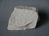 中文名:細晶岩(NMNS003053-P006271)英文名:Aplite(NMNS003053-P006271)