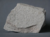 中文名:細晶岩(NMNS003053-P006271)英文名:Aplite(NMNS003053-P006271)