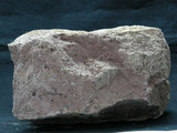 中文名:火山碎屑岩(NMNS000365-P001933)