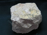 中文名:火山碎屑岩(NMNS000365-P001933)英文名:Pyroclastic rock(NMNS000365-P001933)