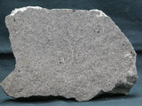 中文名:安山岩(NMNS000711-P002789)英文名:Andesite(NMNS000711-P002789)