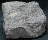中文名:安山岩(NMNS000789-P002875)英文名:Andesite(NMNS000789-P002875)