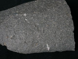 中文名:安山岩(NMNS001555-P003913)