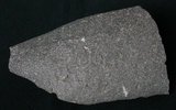 中文名:安山岩(NMNS001555-P003913)英文名:Andesite(NMNS001555-P003913)