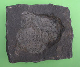 中文名:安山岩(NMNS000711-P002804)英文名:Andesite(NMNS000711-P002804)