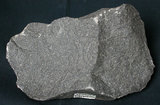 中文名:矽質玄武岩(NMNS003406-P006644)英文名:Tholeiite(NMNS003406-P006644)