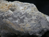 中文名:凝灰岩(NMNS001324-P003752)