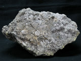 中文名:凝灰岩(NMNS001324-P003752)英文名:Tuff(NMNS001324-P003752)