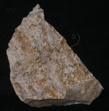 中文名:花崗岩(NMNS004314-P008828)英文名:Granite(NMNS004314-P008828)