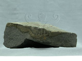 中文名:玄武岩(NMNS002788-P004856)英文名:Basalt(NMNS002788-P004856)