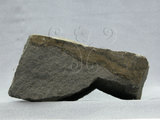 中文名:玄武岩(NMNS002788-P004856)英文名:Basalt(NMNS002788-P004856)