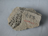 中文名:玄武岩(NMNS002788-P004857)英文名:Basalt(NMNS002788-P004857)