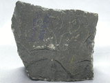 中文名:玄武岩(NMNS002788-P004861)英文名:Basalt(NMNS002788-P004861)