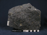 中文名:玄武岩(NMNS003652-P007335)英文名:Basalt(NMNS003652-P007335)
