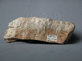 中文名:石英斑岩(NMNS002788-P004864)英文名:Quartz porphyry(NMNS002788-P004864)