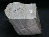 中文名:凝灰岩(NMNS000789-P002887)英文名:Tuff(NMNS000789-P002887)