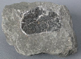 中文名:凝灰岩(NMNS002147-P004202)英文名:Tuff(NMNS002147-P004202)