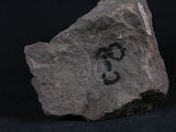 中文名:凝灰岩(NMNS004261-P009335)