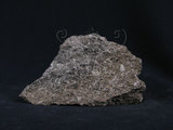 中文名:火山礫凝灰岩(NMNS004262-P009347)英文名:tuff(NMNS004262-P009347)