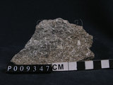 中文名:火山礫凝灰岩(NMNS004262-P009347)英文名:tuff(NMNS004262-P009347)