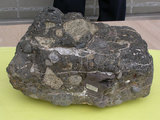 中文名:集塊岩(NMNS002606-P004595)
