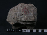 中文名:矽質岩(NMNS004261...