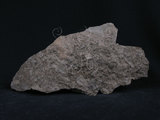 中文名:火山角礫岩(NMNS0042...
