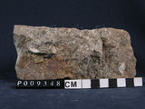 中文名:火山角礫岩(NMNS004262-P009348)英文名:Volcanic breccia(NMNS004262-P009348)