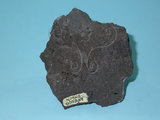 中文名:矽質玄武岩(NMNS000004-P000039)英文名:Tholeiite(NMNS000004-P000039)