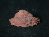 中文名:熔岩(NMNS004309-P008800)英文名:Lava(NMNS004309-P008800)