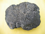 中文名:玻質玄武岩(NMNS004721-P010853)英文名:Glassy basalt(NMNS004721-P010853)