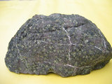 中文名:橄欖岩(NMNS004721-P010837)英文名:Peridotite(NMNS004721-P010837)