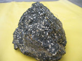 中文名:玢岩(斑狀安山岩)(NMNS004721-P010851)英文名:Porphyrite(NMNS004721-P010851)