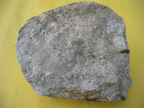 中文名:凝灰岩(NMNS004721-P010850)英文名:Tuff(NMNS004721-P010850)