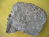 中文名:凝灰岩(NMNS004721-P010852)英文名:Tuff(NMNS004721-P010852)