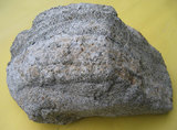 中文名:凝灰岩(NMNS004721-P010862)英文名:Tuff(NMNS004721-P010862)