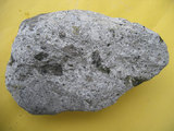 中文名:凝灰角礫岩(NMNS004721-P010861)英文名:Tuffobreccia(NMNS004721-P010861)