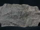 中文名:玄武岩(NMNS001325-P003754)英文名:Basalt(NMNS001325-P003754)