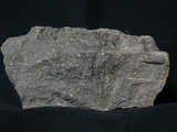 中文名:玄武岩(NMNS001325-P003754)英文名:Basalt(NMNS001325-P003754)