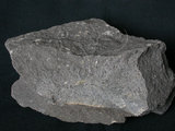 中文名:角閃安山岩(NMNS001325-P003753)