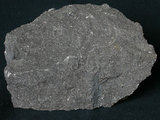 中文名:角閃安山岩(NMNS001325-P003764)英文名:Hornblende andesite(NMNS001325-P003764)