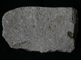 中文名:角閃安山岩(NMNS001325-P003771)英文名:Hornblende andesite(NMNS001325-P003771)