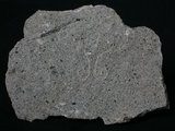 中文名:角閃安山岩(NMNS001325-P003780)英文名:Hornblende andesite(NMNS001325-P003780)