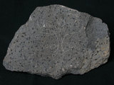 中文名:角閃安山岩(NMNS001325-P003782)英文名:Hornblende andesite(NMNS001325-P003782)