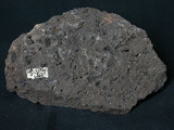 中文名:角閃安山岩(NMNS001325-P003787)英文名:Hornblende andesite(NMNS001325-P003787)