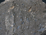 中文名:角閃安山岩(NMNS001325-P003788)英文名:Hornblende andesite(NMNS001325-P003788)