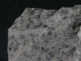 中文名:碎屑角礫岩(NMNS003480-P006779)