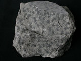 中文名:碎屑角礫岩(NMNS003480-P006779)英文名:Pyroclastic conglomerate(NMNS003480-P006779)